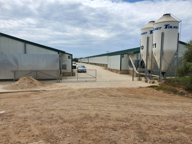 HClO Castellon, Spain broilers.4